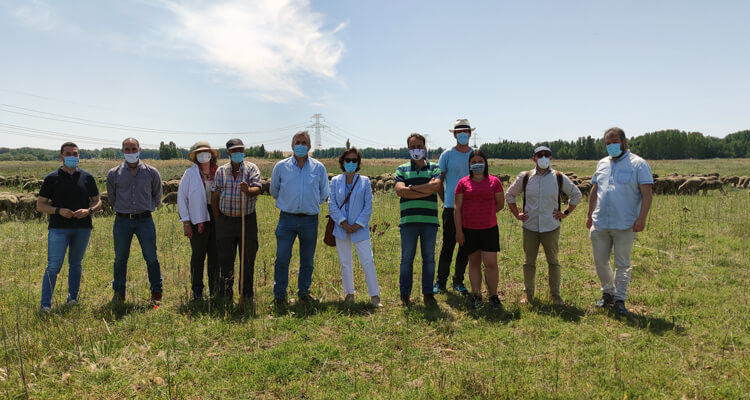 El sector del ovino y caprino apoya a la Trashumancia como reivindicación de nuestro patrimonio rural, medioambiental y social
