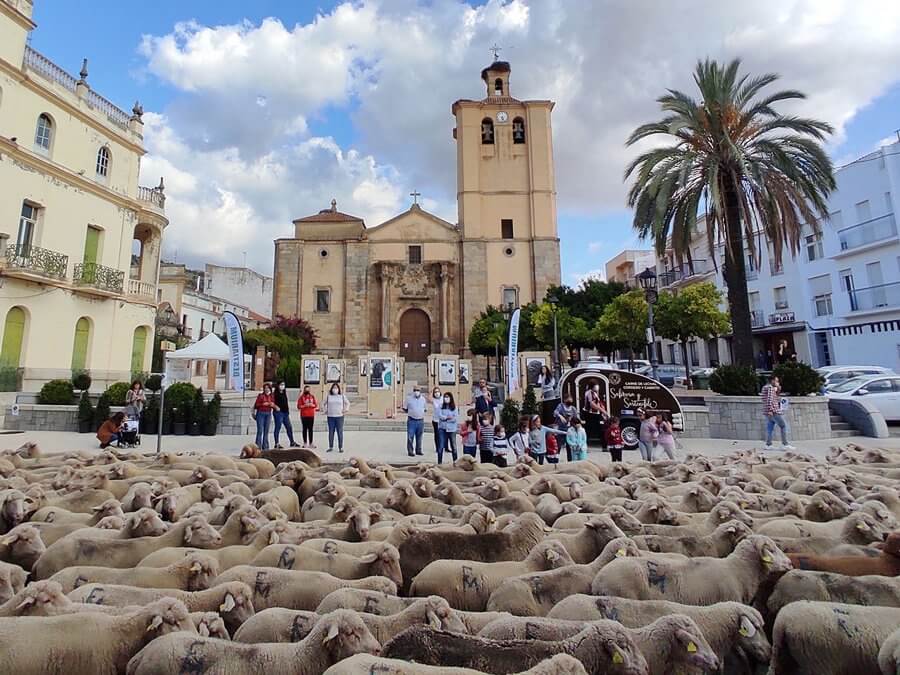 Arranca el primer ROADSHOW trashumante
