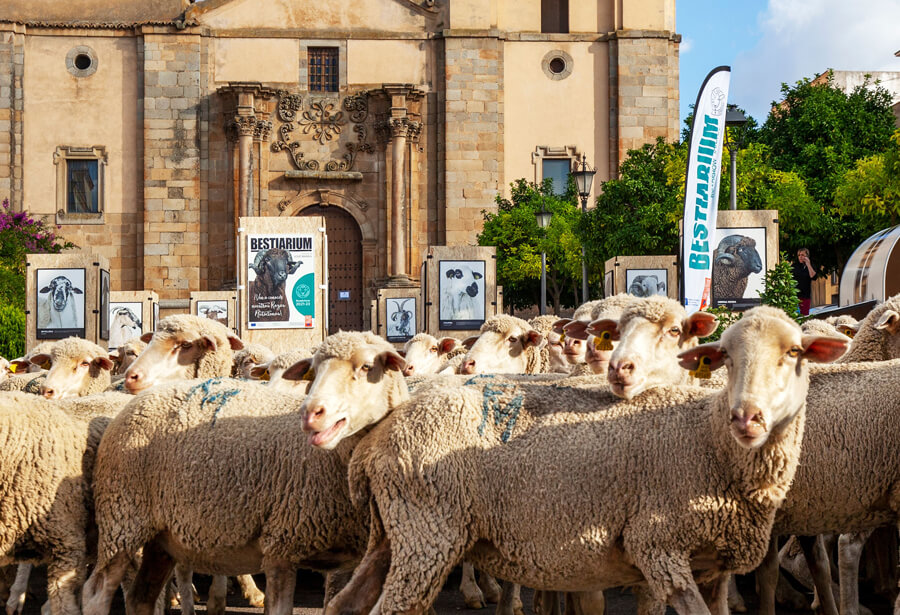 ROADSHOW la exposición trashumante del fotógrafo José Barea e INTEROVIC llega a Riaza y Burgo de Osma