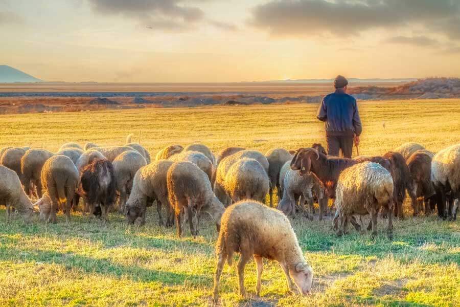 La tradición de comer cordero en Pascua