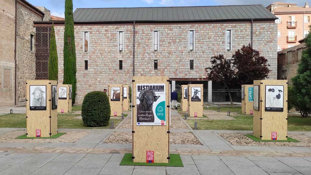 BESTIARIUM, la exposición trashumante de José Barea, llega en mayo a Pedraza, Valladolid y Boadilla del Monte
