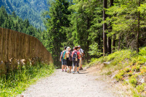 excursion campo